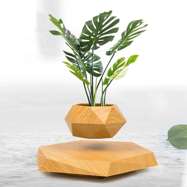 4Home™ Magnetic Floating Plants